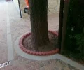 Zdjęcie z galerii