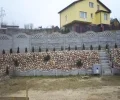 Zdjęcie z galerii