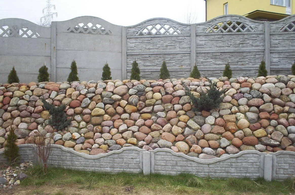 Zdjęcie z galerii
